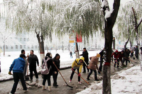 bevictor伟德学生积极开展义务劳动清扫积雪