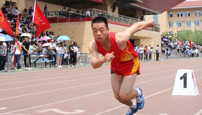 bevictor伟德代表团在BV伟德官方网站2016年学生田径运动会上再创佳绩