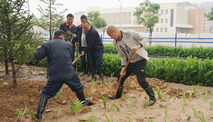 后勤部水电暖中心完成雨排抢修任务