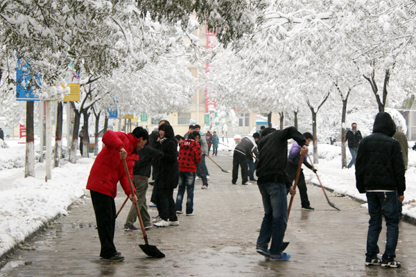 bevictor伟德学生积极开展义务劳动清扫积雪