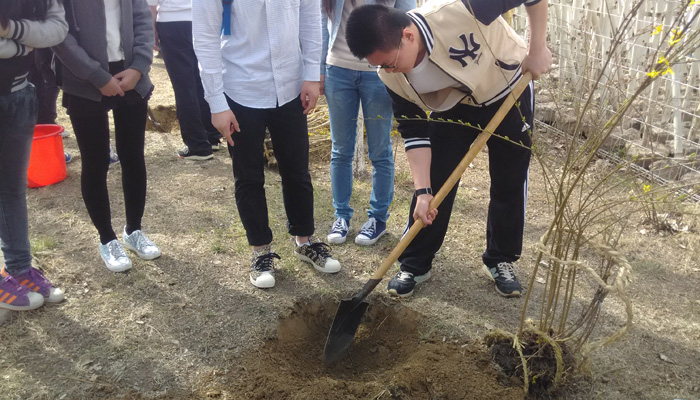 bevictor伟德第三学生党总支开展“为城市添绿，做先锋党员”主题党日活动